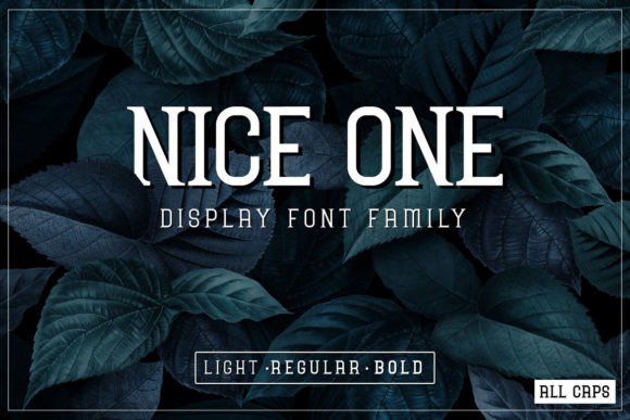 Nice One: A Modern Display Font for Bold Branding